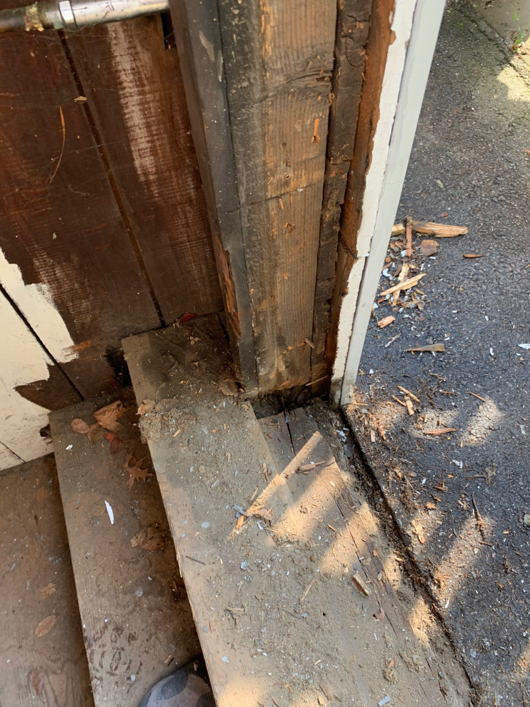 Basement doors