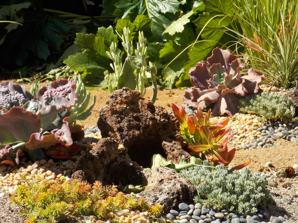 Inspiration for a coastal drought-tolerant and full sun front yard decomposed granite landscaping in Los Angeles for spring.
