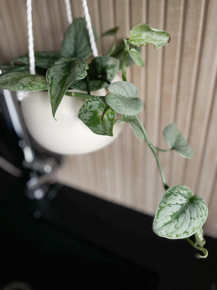 Urban Kitchen | Denver, CO | Modern Masculine Contemporary Renovation