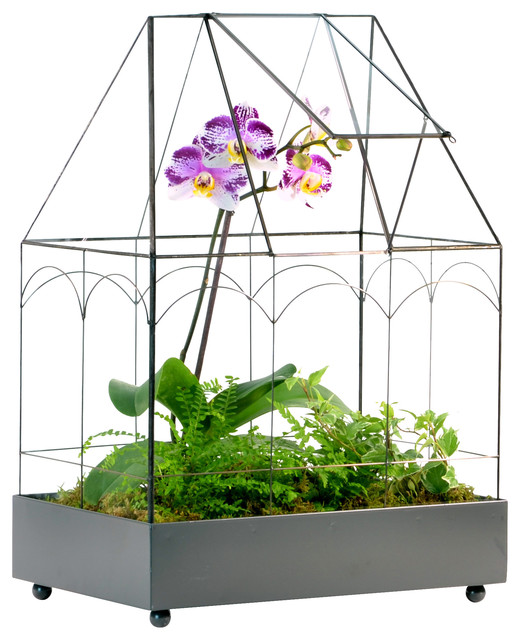 Wardian Case, Glass Plant Terrarium Planter Container
