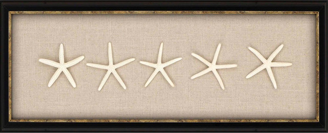 Paragon Starfish Artwork