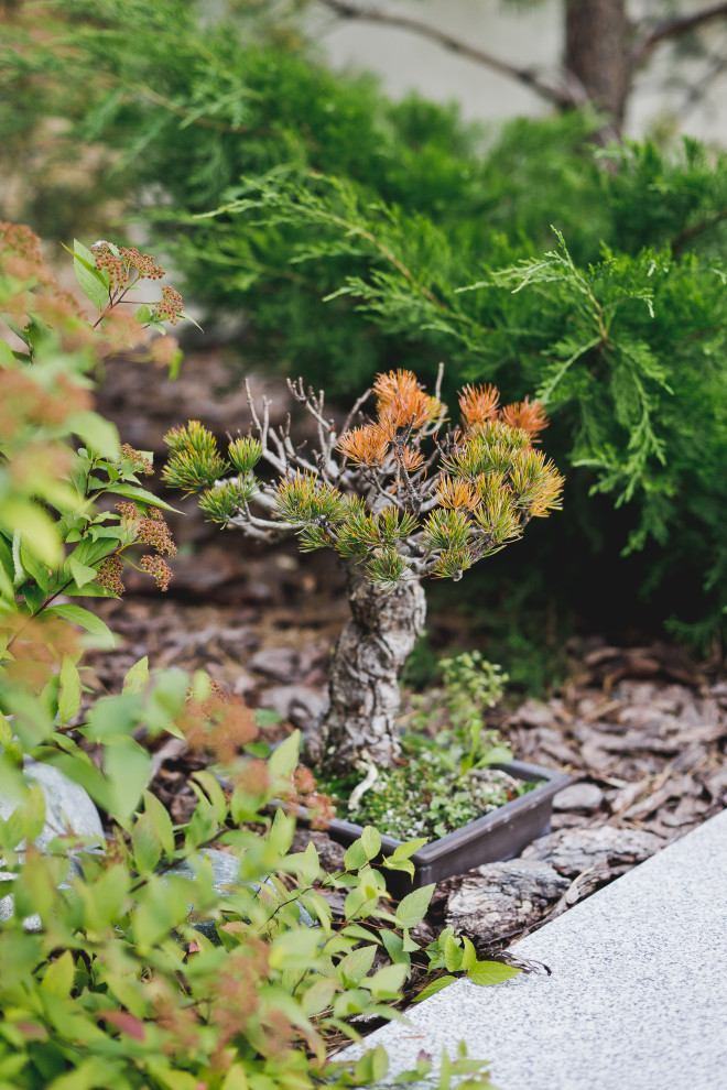 Маленький сад перед таунхаусом