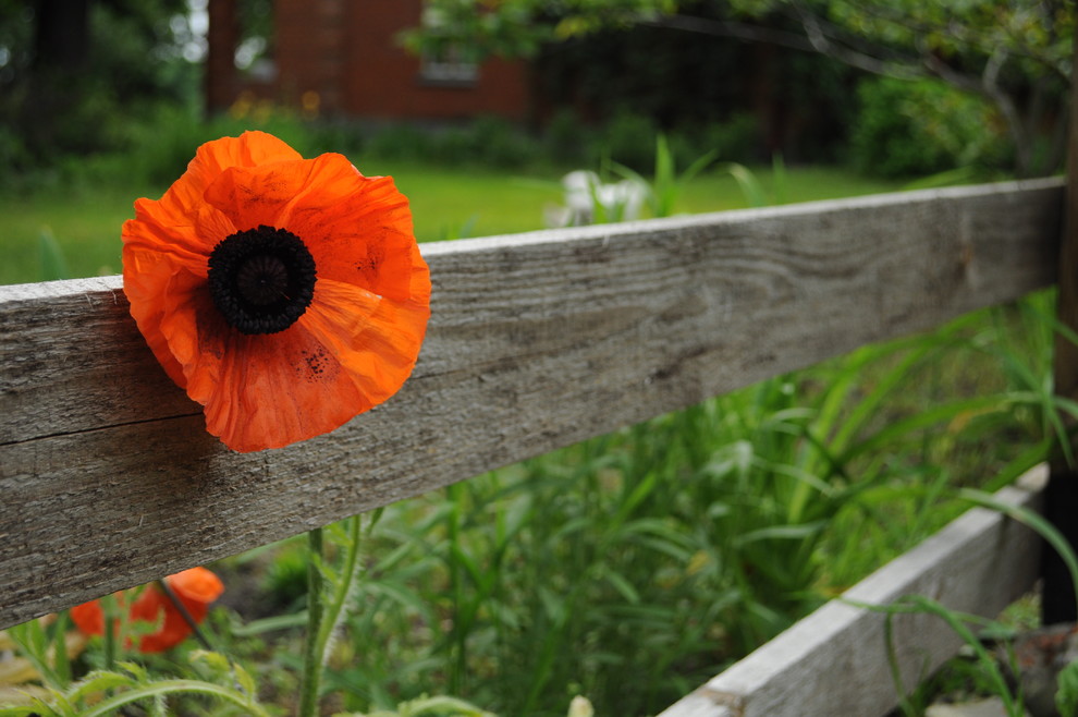 усадьба Писаревка