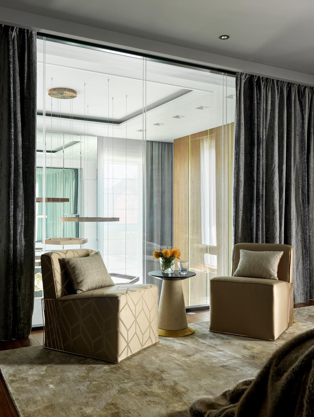 Проект Горки