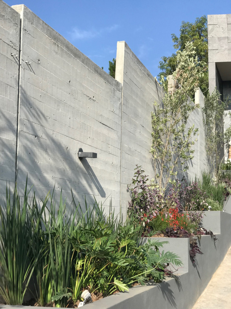 Idee per un giardino bohémian esposto in pieno sole di medie dimensioni e dietro casa in estate con pavimentazioni in cemento e recinzione in pietra