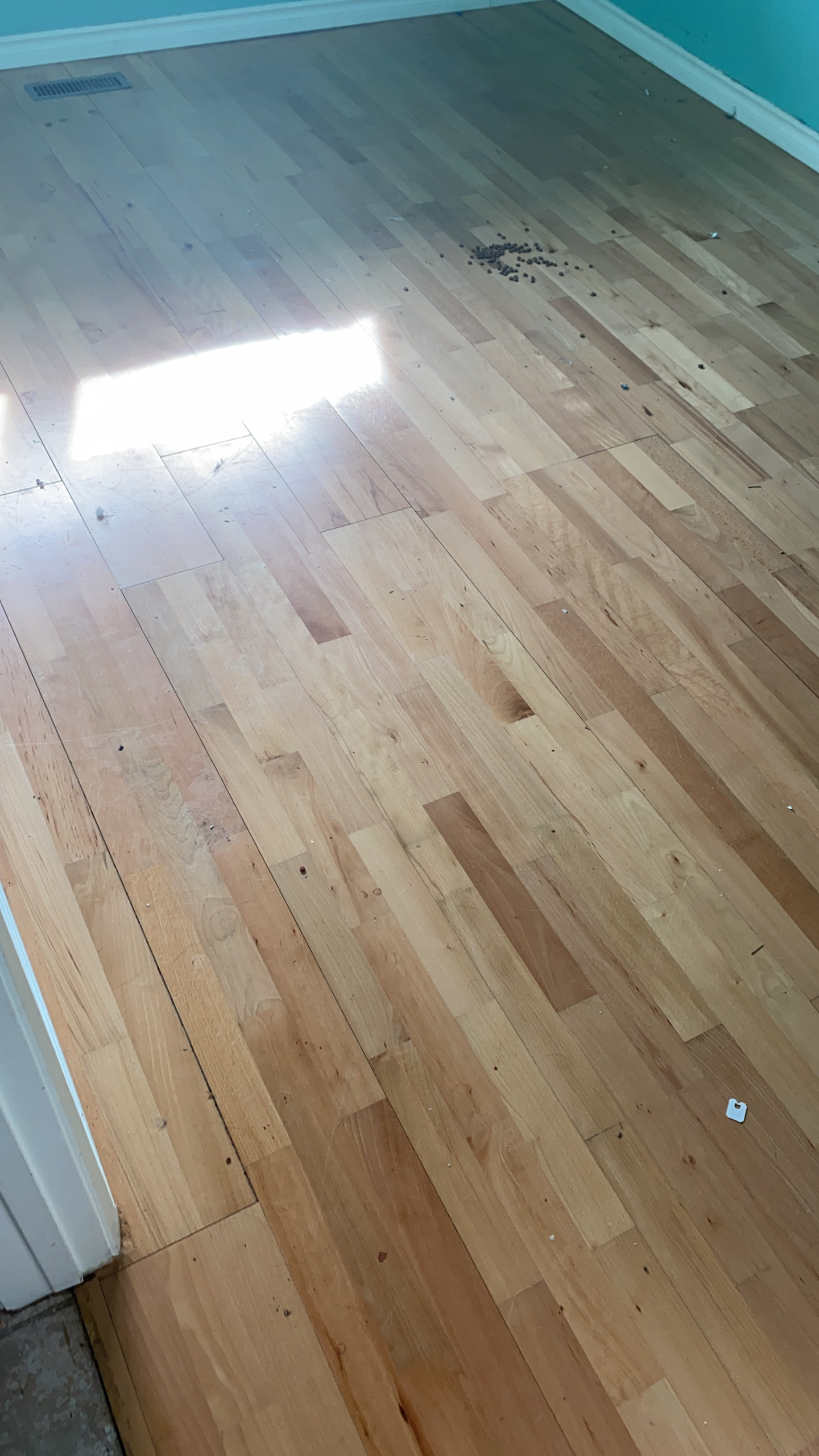 Custom Carpet in New Home