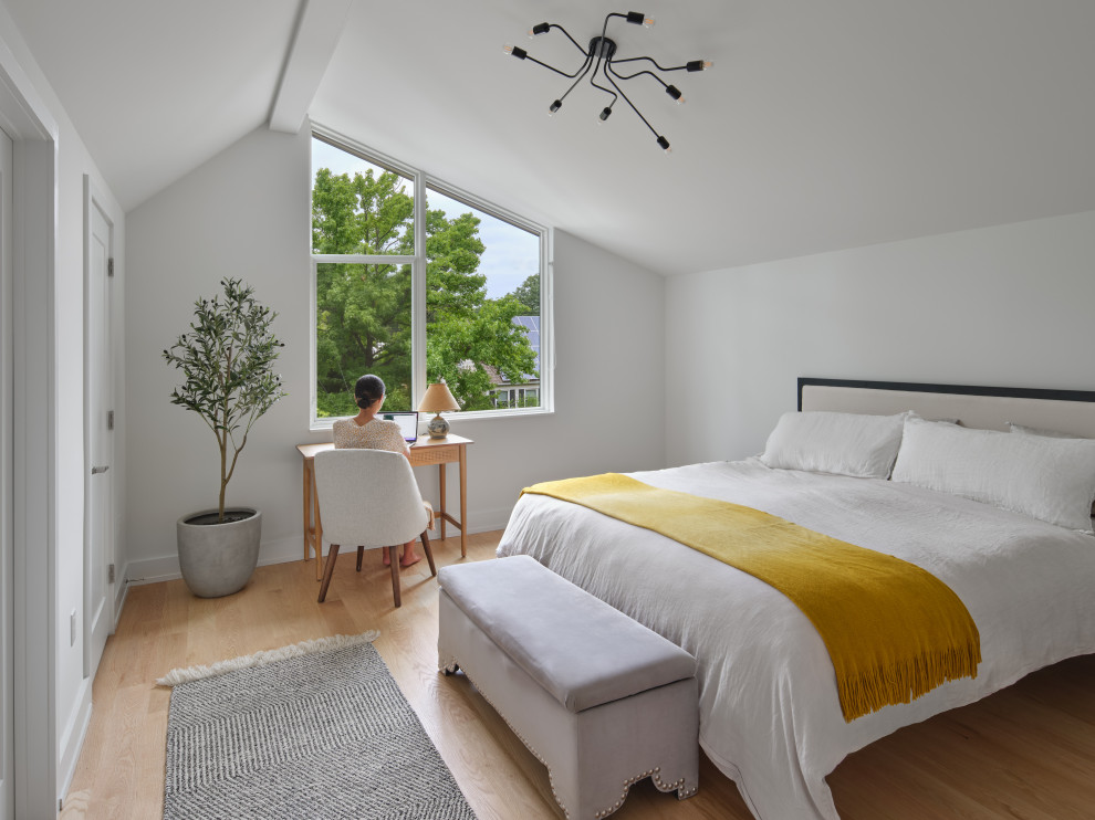 Idee per una camera degli ospiti minimal di medie dimensioni con pareti grigie, parquet chiaro, nessun camino e soffitto a volta