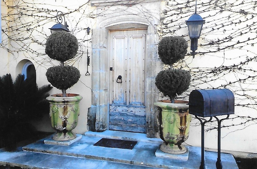 Entryway - mediterranean entryway idea in Orange County