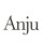 Anju Designs