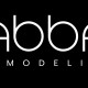 Abba Remodeling