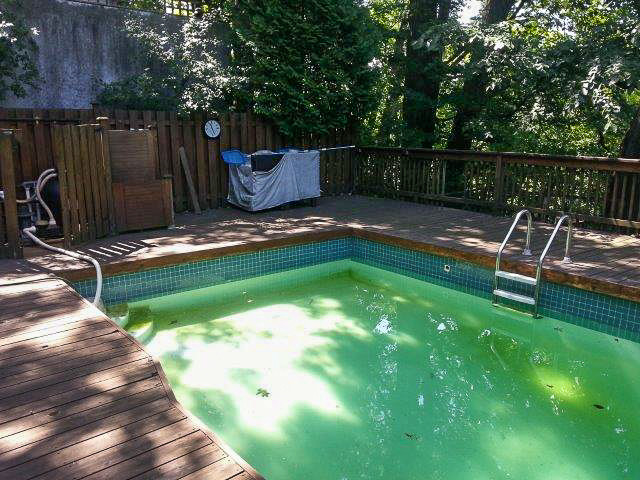 Pool Setting Rescue contemporary