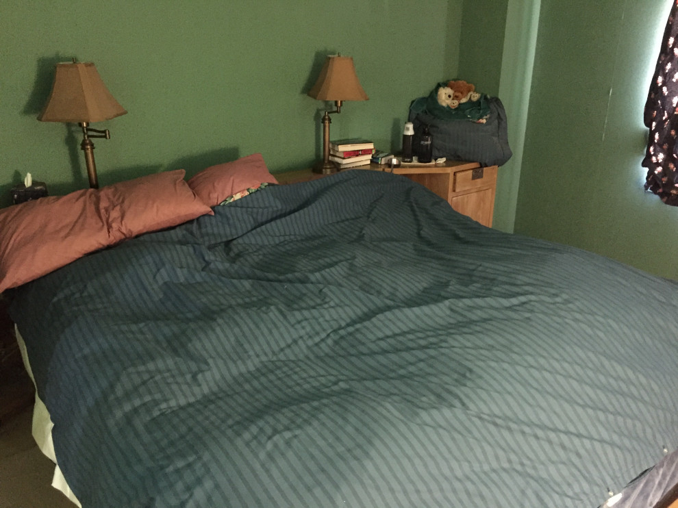 BEFORE - Rosslyn condo