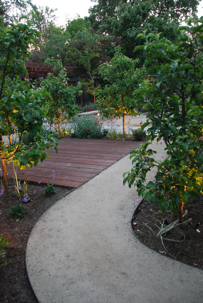 Large arts and crafts backyard full sun garden in San Francisco with a garden path and decomposed granite.