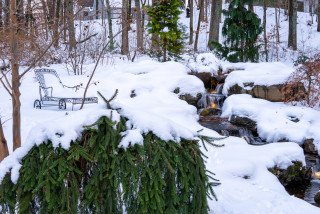 Make the Most of Your Garden During the Quiet Season (9 photos)