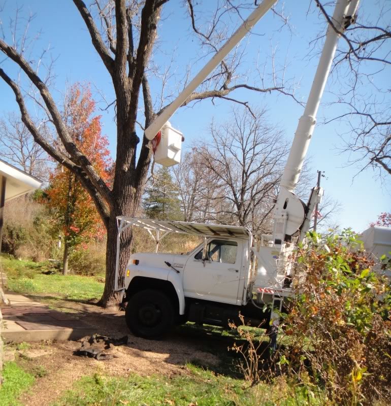 Neosho Tree Service | Houzz Forum