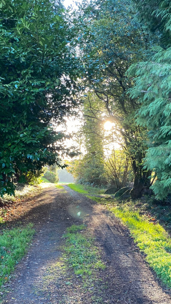 Petit coin de paradis optimisé à la campagne