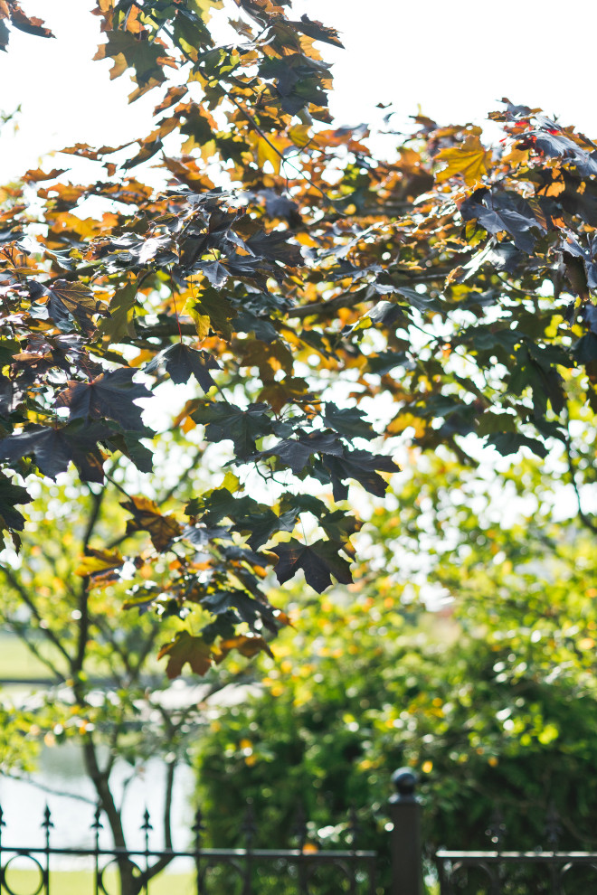 Современный сад на Успенском шоссе