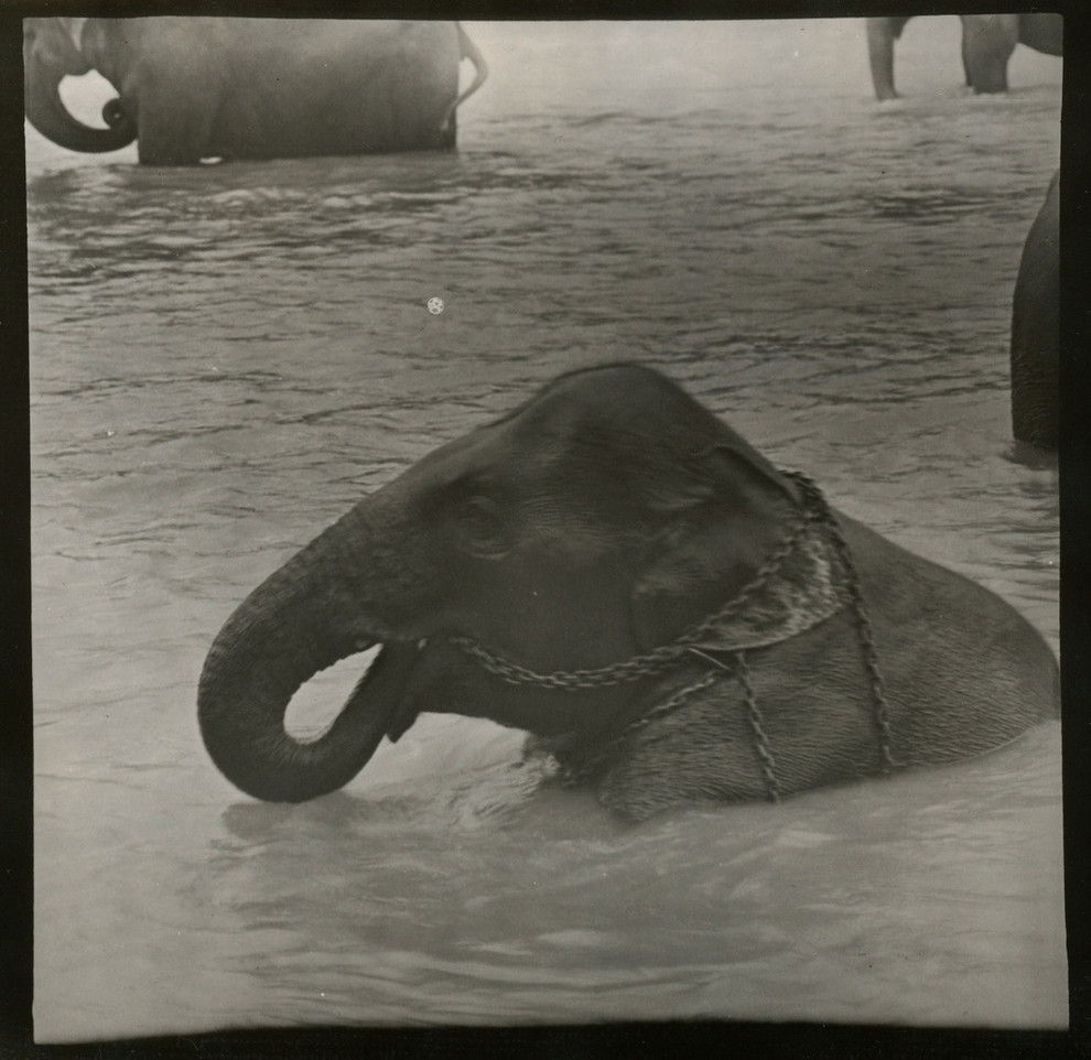 Авторские работы