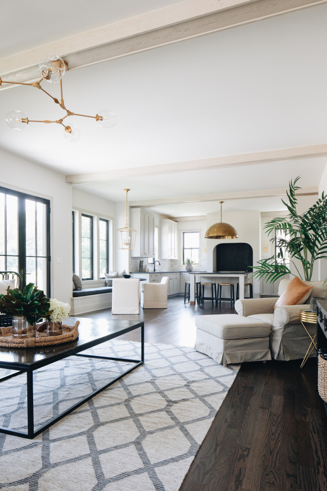 Transitional home design photo in Chicago