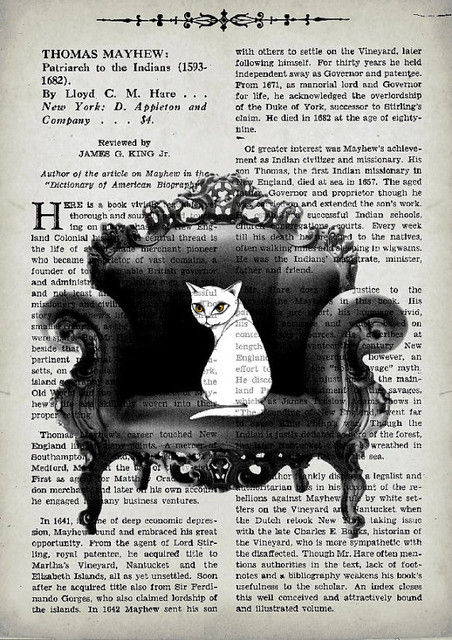 Baroque Cat Giclée Print by Art & Retro