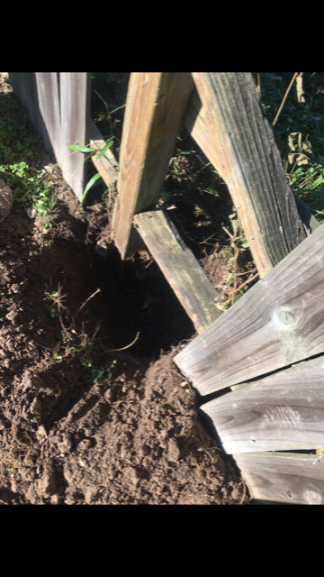 Reinforced Repaired Wood Fence