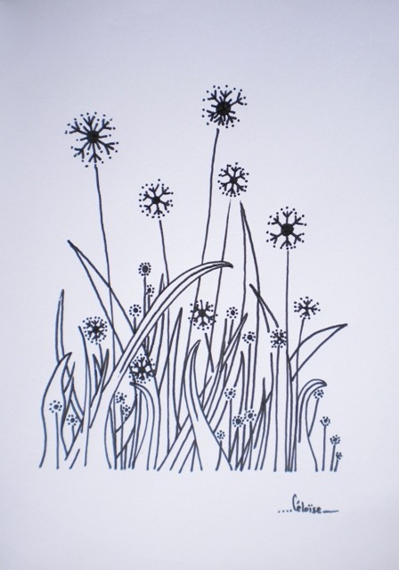 VEGETAL classique