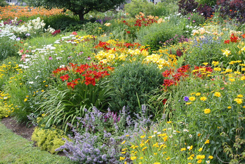 This is Pollinator Perennial Garden By Peter Atkins