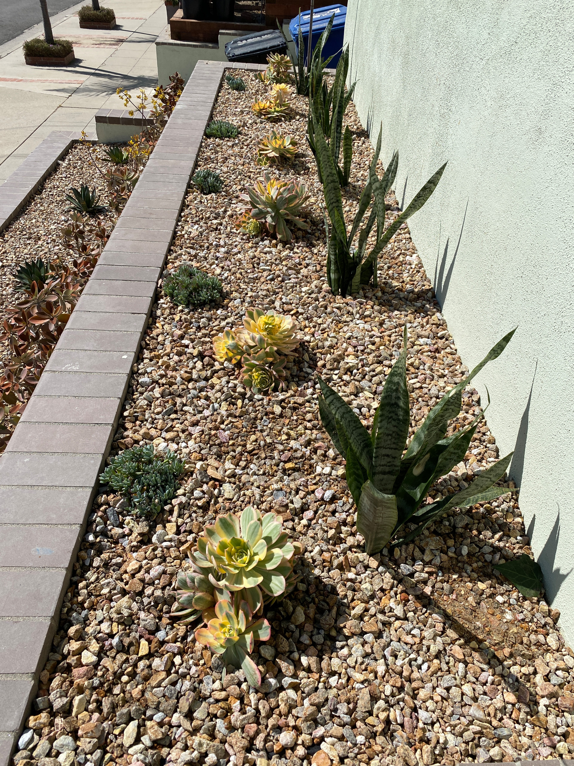San Pedro, CA: Palm Springs Mid-Mod by the Beach