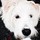 linda_surles