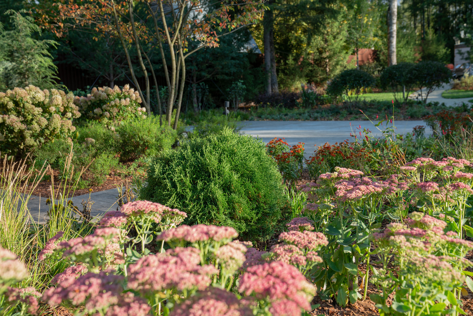 Круговорот  цвета. Дубровка 2021