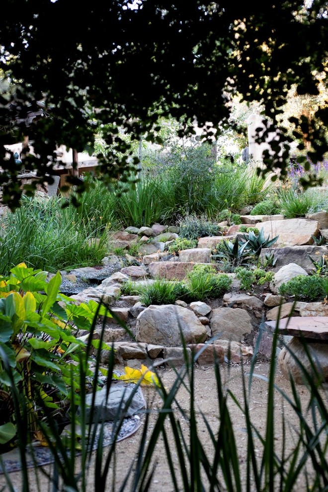 Mediterranean garden in Los Angeles.