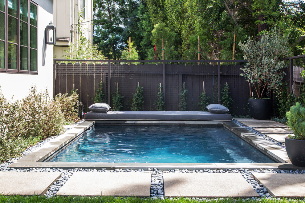Design ideas for a transitional backyard rectangular pool in Los Angeles with stamped concrete.