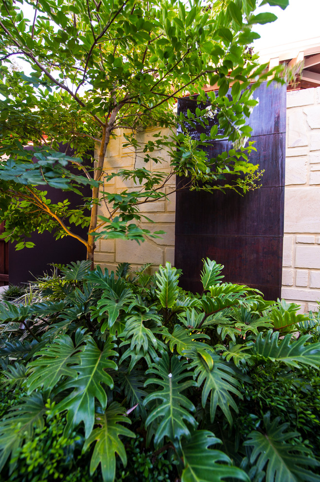 Inspiration for a small contemporary courtyard garden in Perth with a water feature.