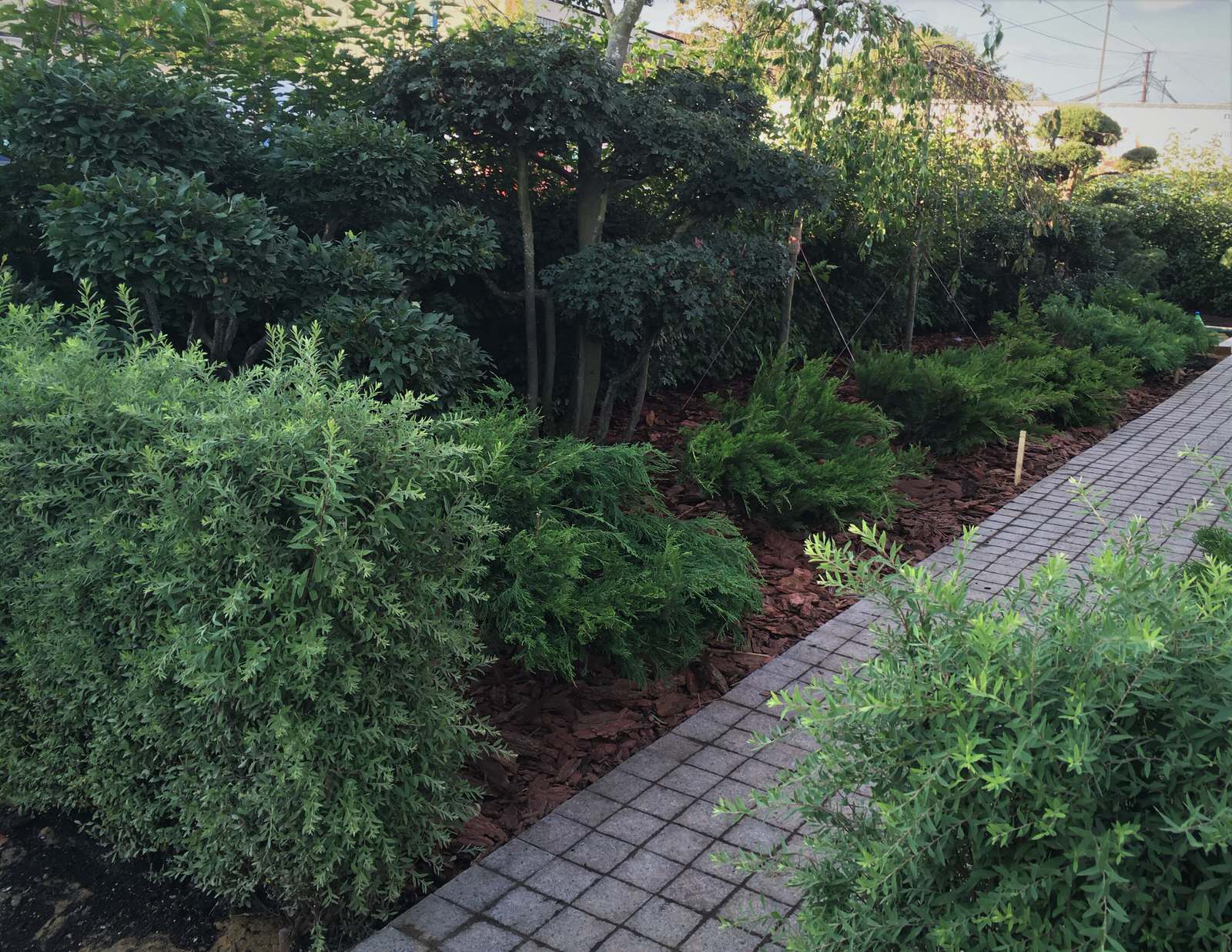 ПЭК - Первая Экспедиционная компания