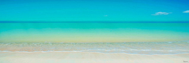 "Scenic Beach" Print on Canvas, 60"x20"
