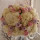 Last commented by Arisvelo A.