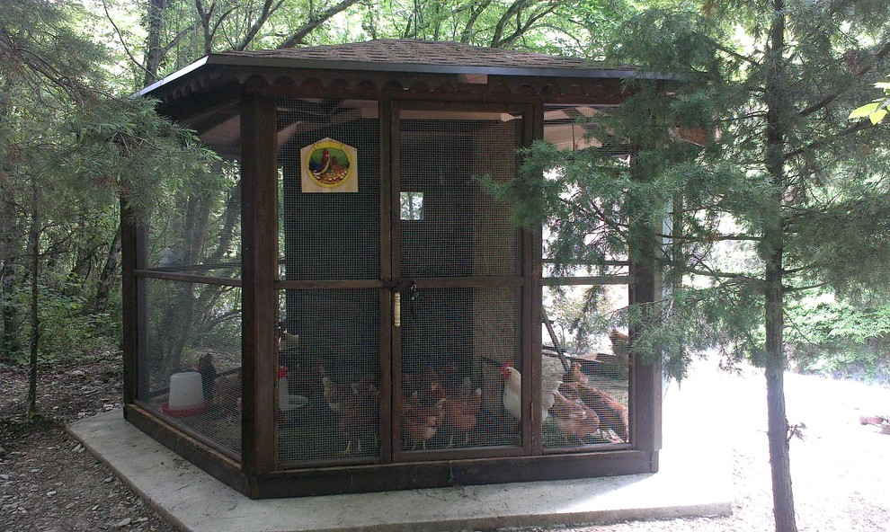 Курятник зимний (утепленный) №1