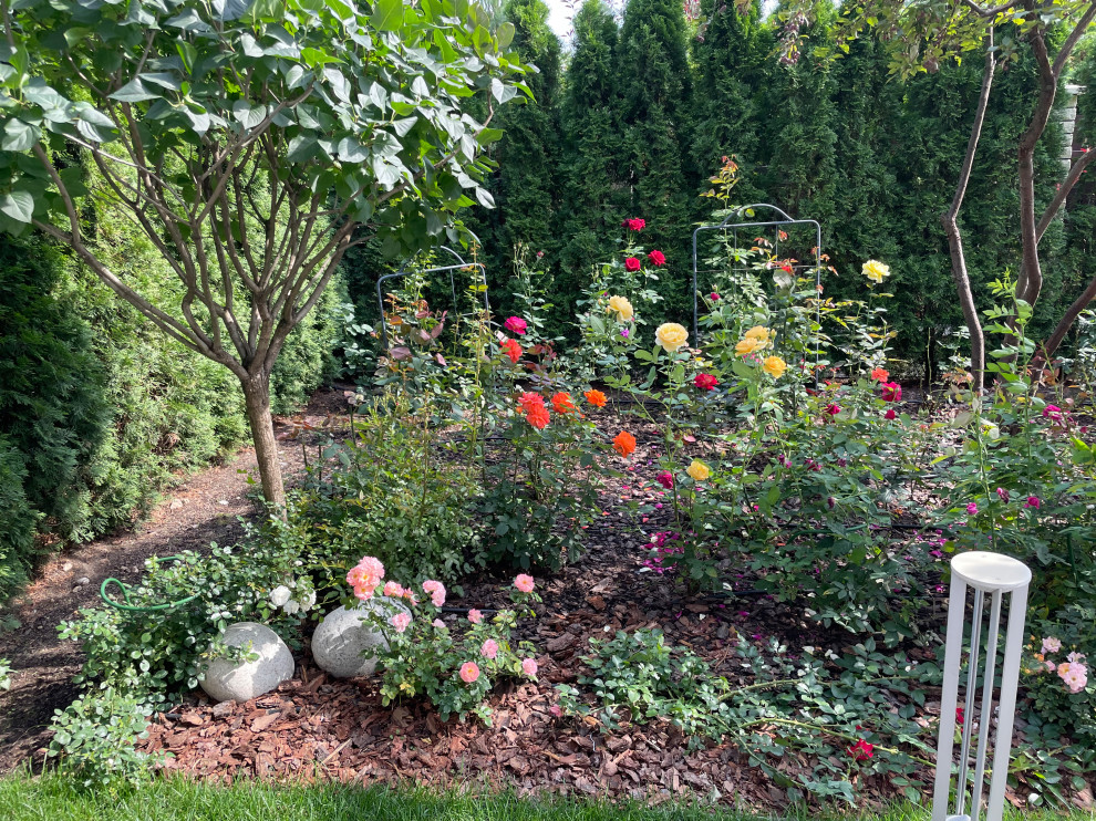 КП Пестово "Evergreen'