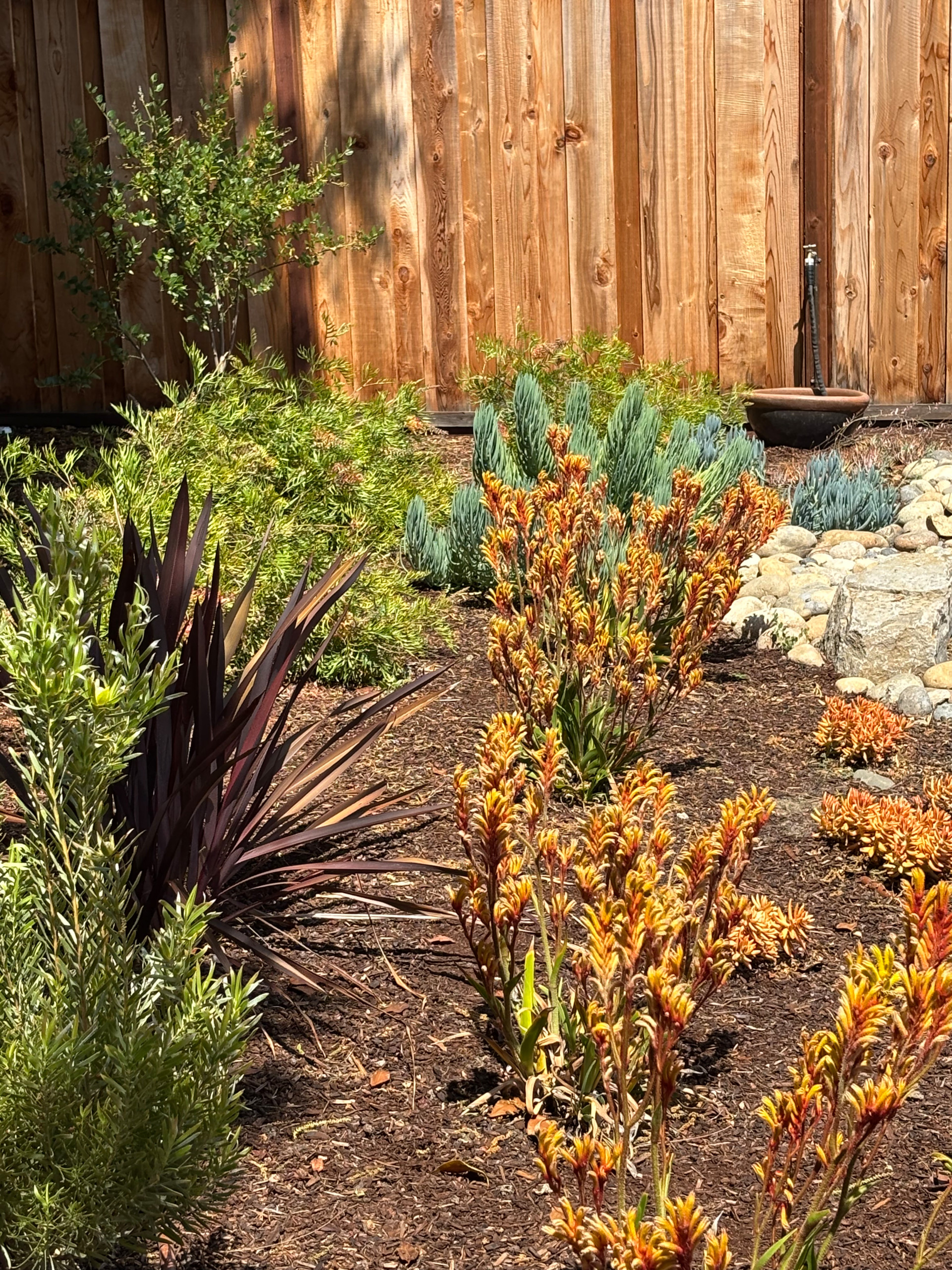 Sunny Fremont oasis