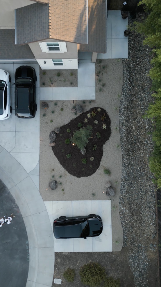 Tahoe Park Renovation