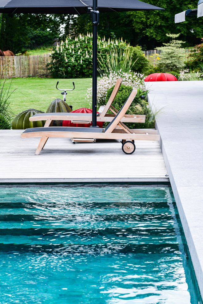 Esempio di una piscina a sfioro infinito contemporanea rettangolare dietro casa con paesaggistica bordo piscina e pavimentazioni in pietra naturale