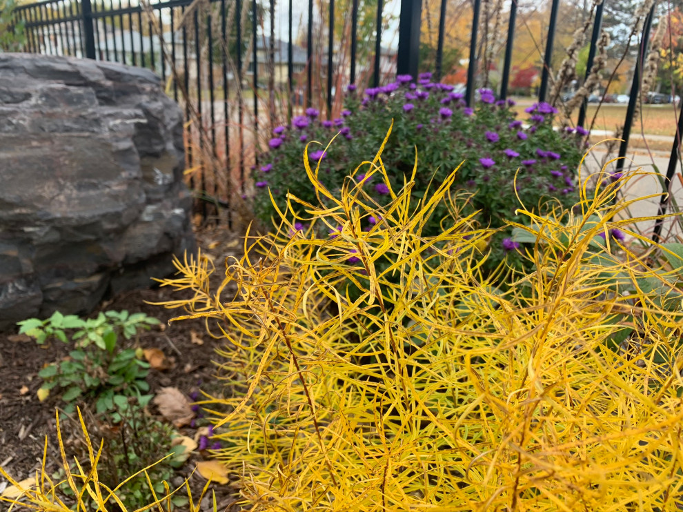 Minneapolis Functional Landscape