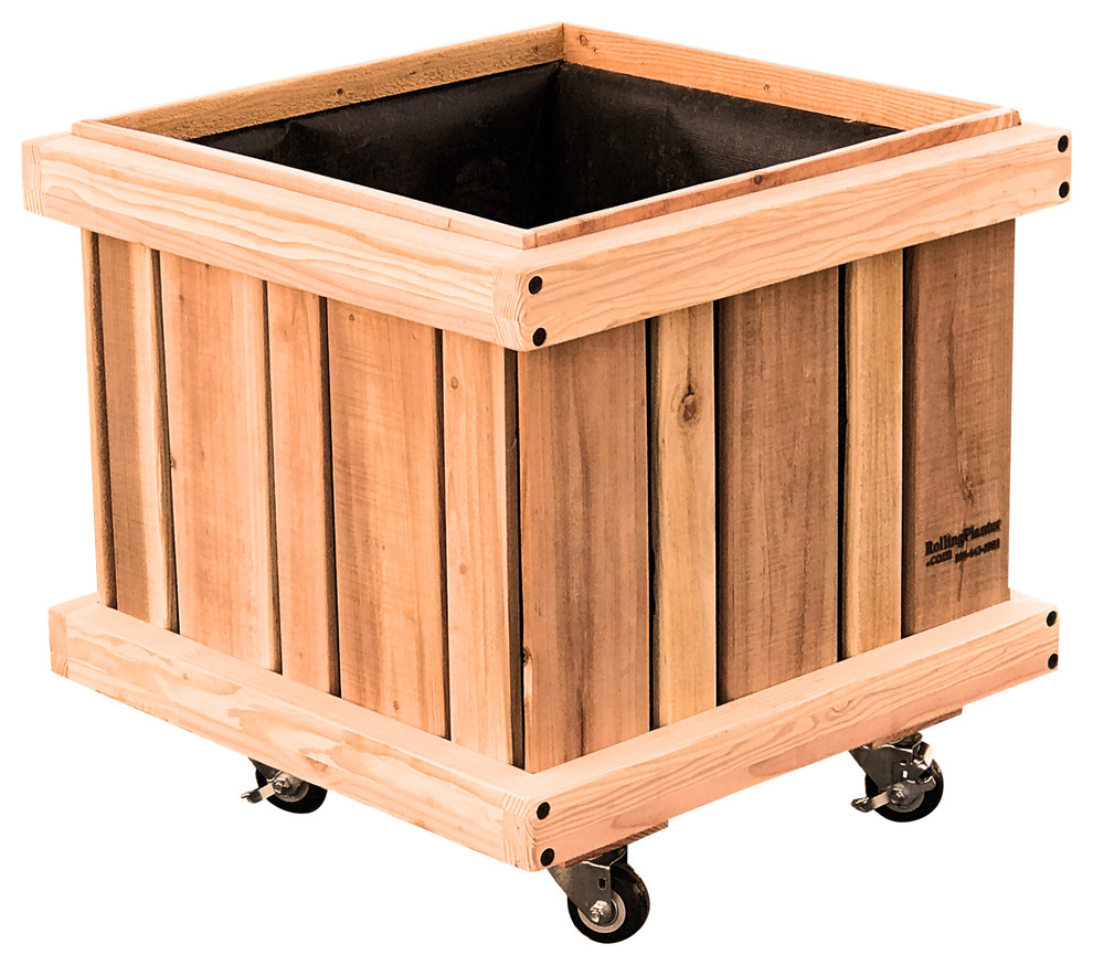 Rolling Tree 27" Cube Planter, Oiled Finish