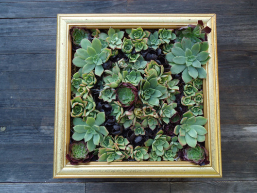 HOUZZER Salvage Projects 