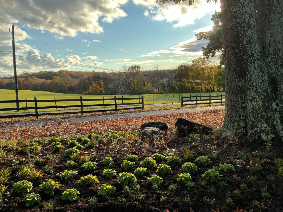 Impactful, serene and native entrance.