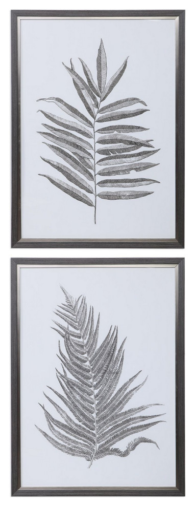 Uttermost Silver Ferns Framed Prints Set Of 2 by Grace Feyock