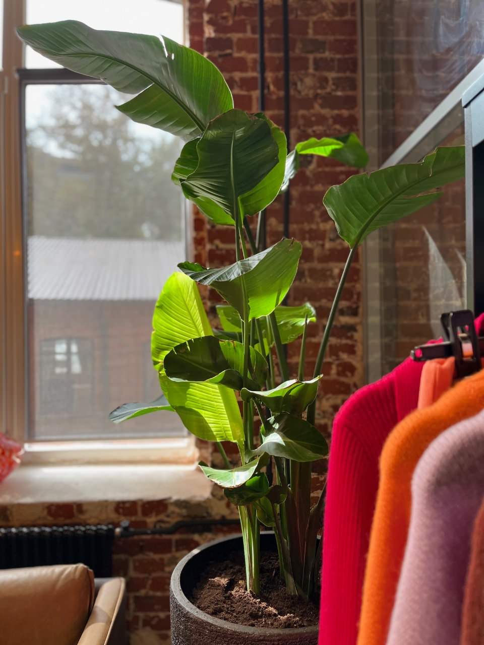 Шоурум Monncashmere