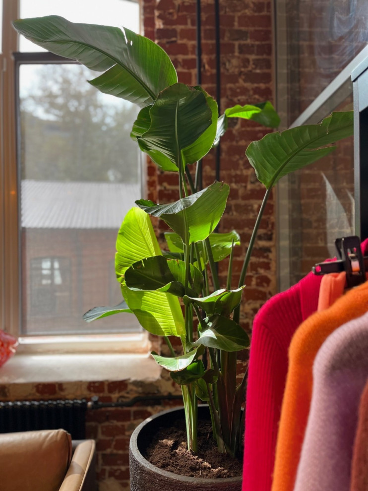 Шоурум Monncashmere