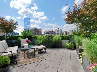 Moderne Dachterrasse mit Kübelpflanzen in New York