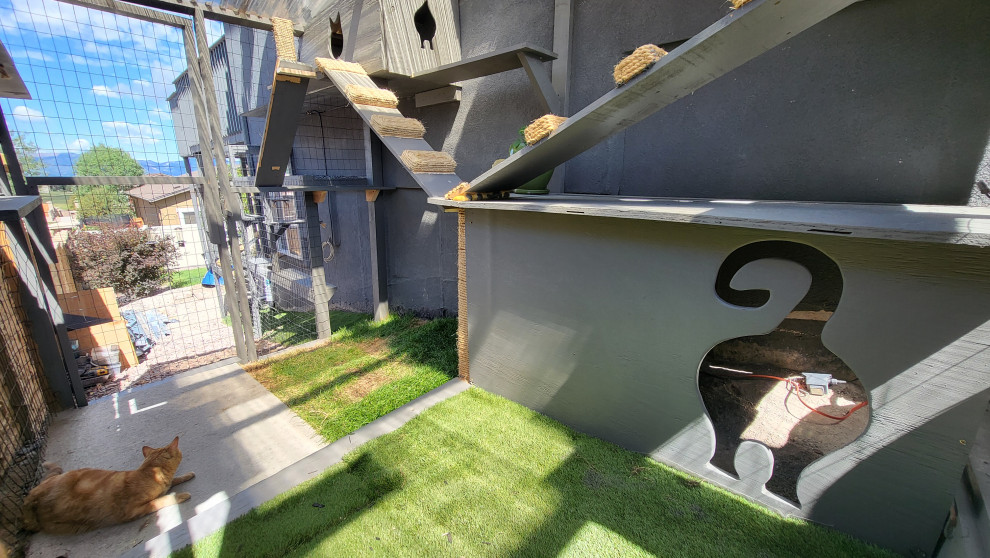 The Purr-fect Playground✨